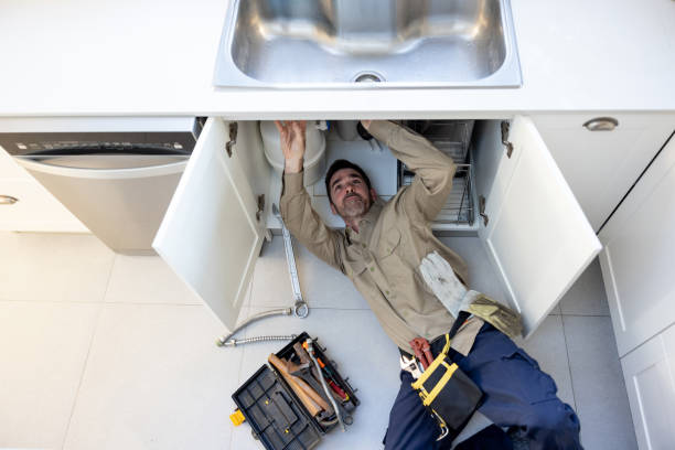 Best 24/7 Emergency Plumbing Services  in Daphne, AL